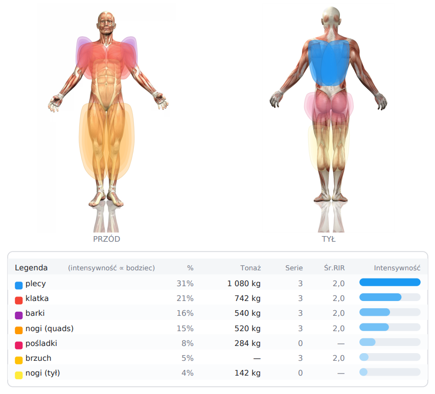 Raport po treningu: mapa partii mięśniowych i podział objętości
